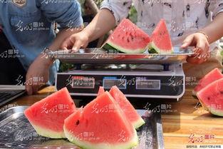 聊城吃瓜公众号,揭秘当地美食背后的故事与传说